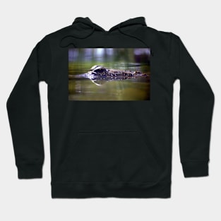 Crocodile in View Hoodie